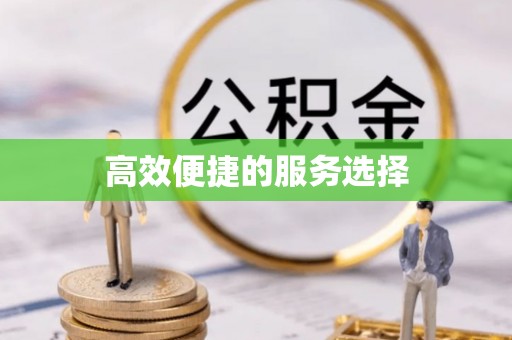 潘集高效便捷的服务选择