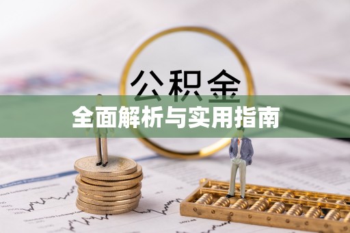 潘集全面解析与实用指南